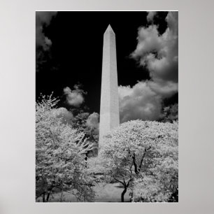 Poster Le monument de Washington