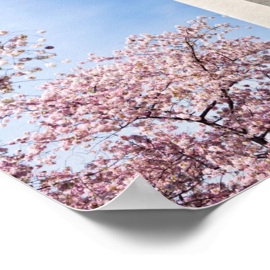 Poster Le monument de Washington (Coin)