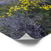 Poster Le monument national de Carrizo Plain (Coin)