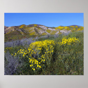 Poster Le monument national de Carrizo Plain