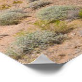 Poster Le Monument national de Gold Butte (Coin)