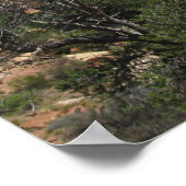 Poster Le Monument National des Ponts Naturels (Coin)