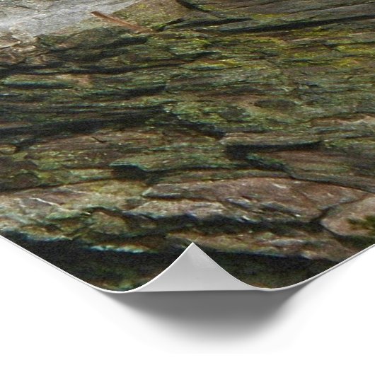 Poster Le Monument Présidentiel du Mont Rushmore (Coin)