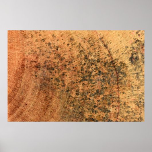 Poster Le moule qui pousse sur la surface du bois brun es (Devant)