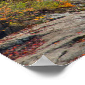 Poster Le moulin historique sur Glade Creek (Coin)