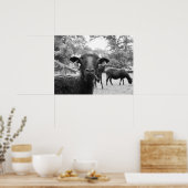 Poster Le mouton noir (Cuisine)