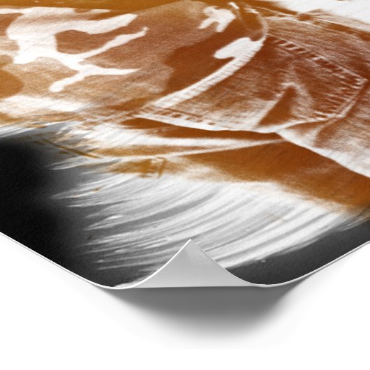 Poster Le Mur (Coin)