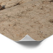 Poster Le Mur Occidental, Jérusalem (Coin)