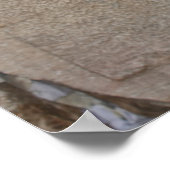 Poster Le Mur Occidental, Jérusalem (Coin)