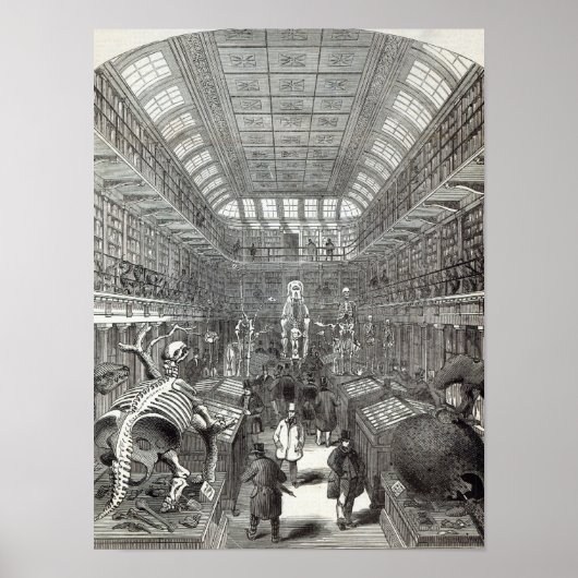 Poster Le musée hongrois (Devant)