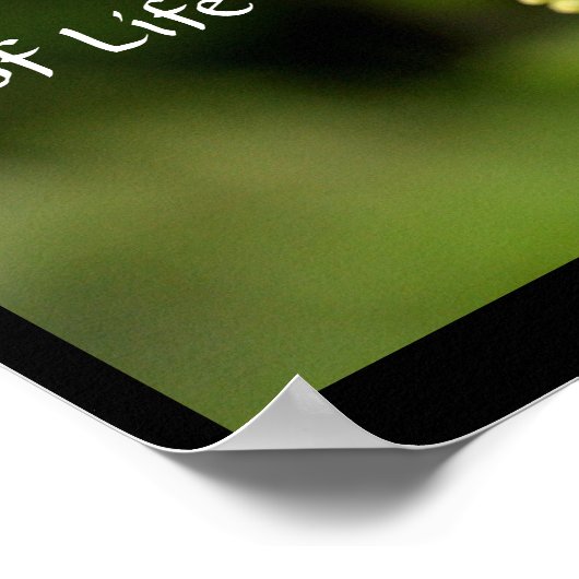 Poster Le nectar de la vie (Coin)