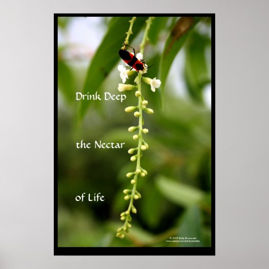 Poster Le nectar de la vie (Devant)
