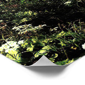 Poster Le nid d'aigle (Coin)