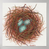 Poster Le nid de Robin (Devant)