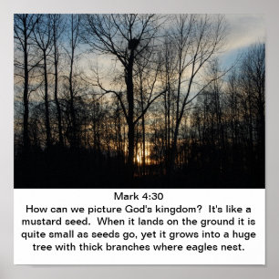 Poster Le nid du Royaume de Dieu