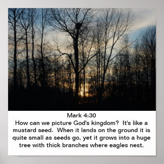 Poster Le nid du Royaume de Dieu