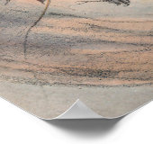 Poster Le nombril rhinocéros de Joseph Wolf (Coin)