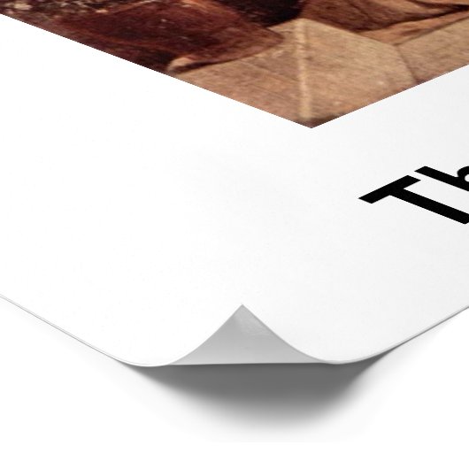 Poster Le Nouveau Favori (Scène Harem) De Francesco Hayez (Coin)