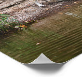 Poster Le pack (Coin)