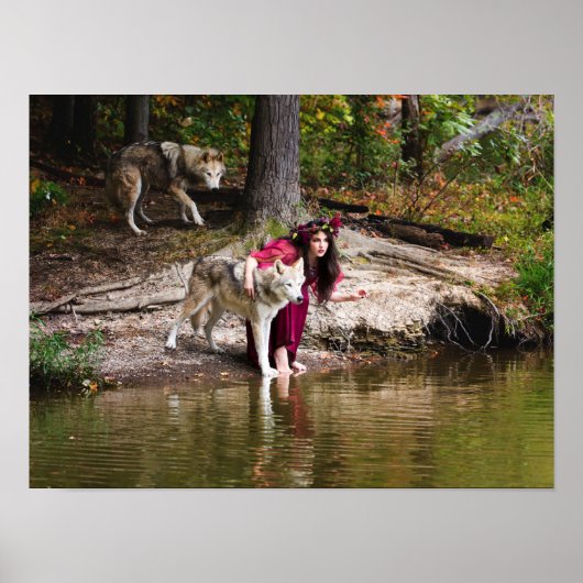 Poster Le pack (Devant)