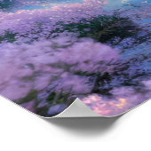 Poster Le paisible lac de la fleur de cerisier (Coin)