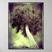 Poster Le Palm (Devant)