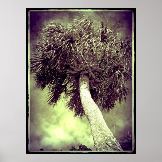 Poster Le Palm (Devant)