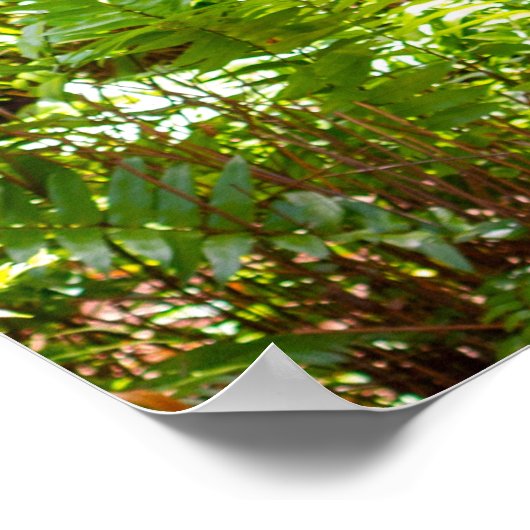 Poster Le Palms (Coin)