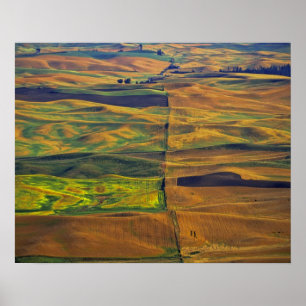 Poster Le Palouse depuis Steptoe Butte, Colfax,