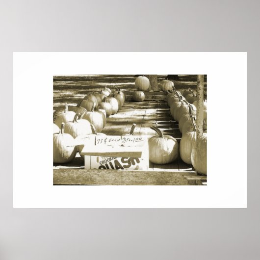 Poster Le panier Citrouille (Devant)