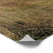 Poster Le panorama de Bieszczady (Coin)