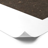 Poster Le paon (Coin)