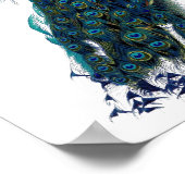 Poster Le paon (Coin)