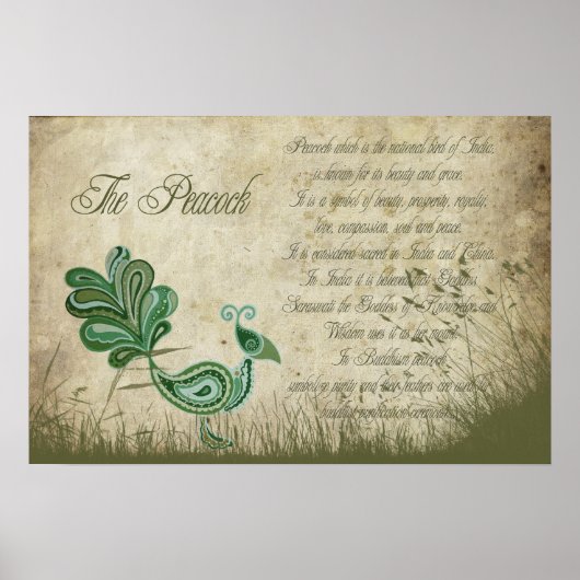 Poster Le paon (Devant)