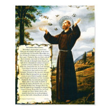 Le pape François Cantique des Créatures Saint Fran