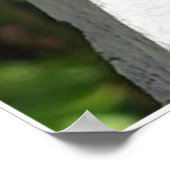 Poster Le papillon (Coin)