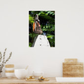 Poster Le papillon (Cuisine)