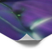 Poster le papillon (Coin)