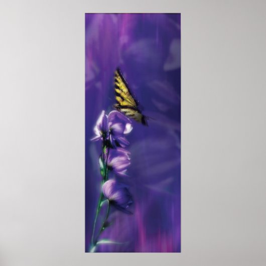 Poster le papillon (Devant)