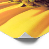 Poster Le papillon est une fleur volante (Coin)