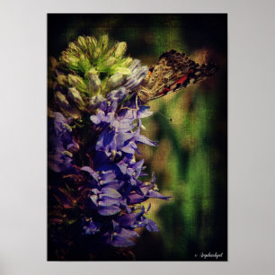 Poster Le papillon et les fleurs violettes