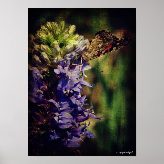 Poster Le papillon et les fleurs violettes (Devant)