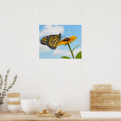 Poster Le papillon Monarque sur une Susan aux yeux noirs (Cuisine)