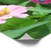 Poster Le papillon One de Smitty (Coin)