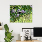 Poster Le papillon Swallowtail et Lilac Bush (Bureau à domicile)