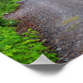 Poster Le paradis vert (Coin)