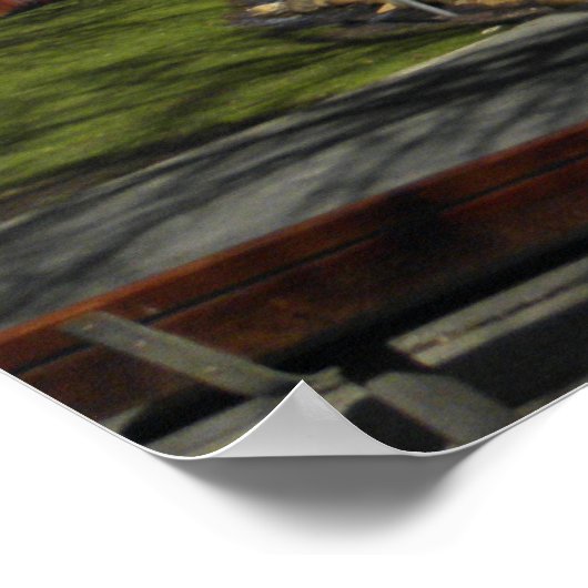 Poster Le parc après la tempête (Coin)