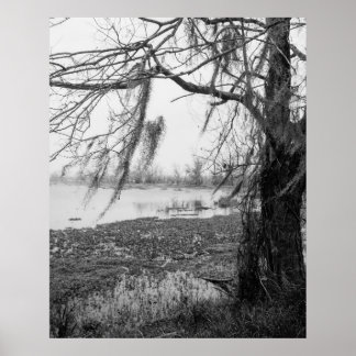 Poster Le Parc d'État de Brazos