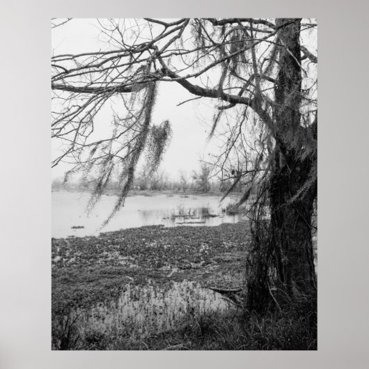 Poster Le Parc d'État de Brazos (Devant)