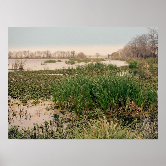 Poster Le Parc d'État de Brazos (Devant)